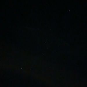 Meet your Posher, Carson